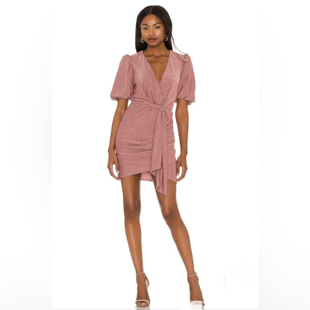 NWOT Deb Mini Dress in Rose
SAYLOR